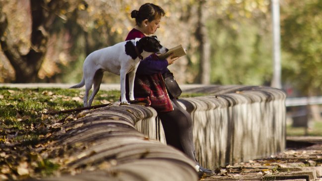 ¿Cómo sabe tu perro que puede confiar en ti?