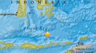 SHOA descartó tsunami en Chile tras fuerte sismo en Indonesia