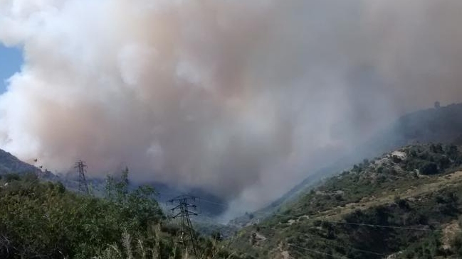 Onemi decretó alerta amarilla en Machalí por incendios forestales
