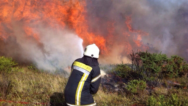 Onemi: 75 incendios forestales se mantienen activos