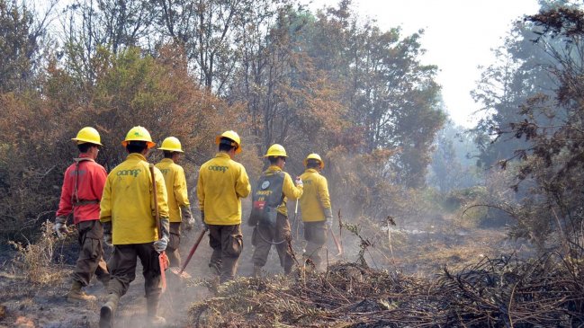 Autoridades levantaron alerta roja por incendios forestales en la provincia de Ranco