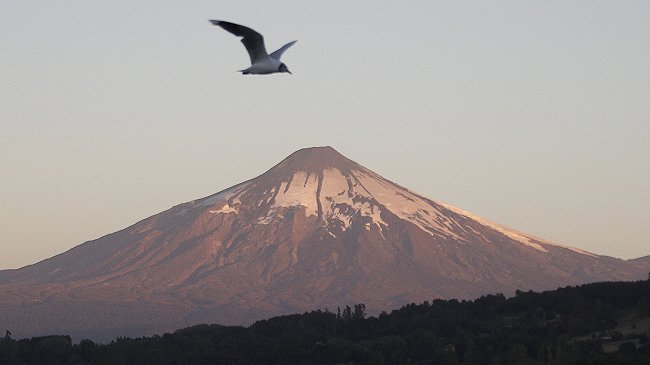 Alerta por Volcán Villarrica bajó a nivel amarillo
