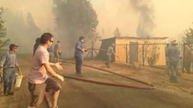 Región del Biobío: Incendio forestal destruye cinco casas en Santa Juana
