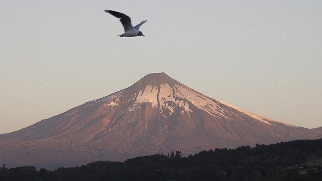 Alerta por Volcán Villarrica bajó a nivel amarillo