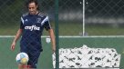 Gerente de Palmeiras descartó que Valdivia sea imprescindible para el club