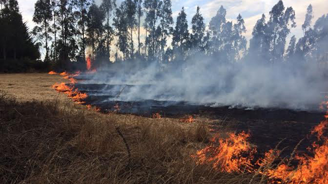 Incendio provocó interrupción de servicios de internet en el sur de Chile