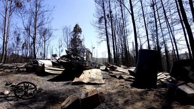 Conaf: Incendios forestales tienen más resistencia por la sequía