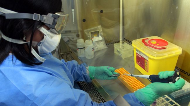 Niña de 10 años fue diagnosticada con hanta en Talca