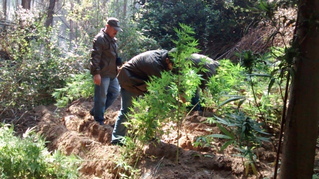 Imagen foto_00000016