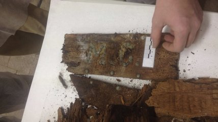 Afirman que restos hallados en Madrid son de Cervantes, 