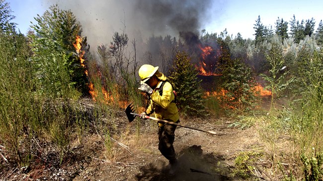Brigadistas de Conaf paralizan y denuncian 