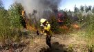 Brigadistas de Conaf paralizan y denuncian \