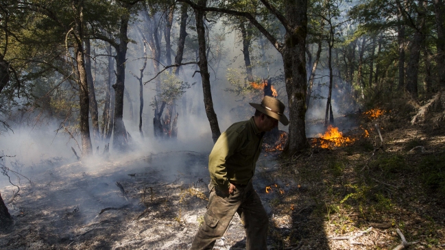 Onemi por incendio en Melipeuco: Combate se ha complicado por condiciones del viento