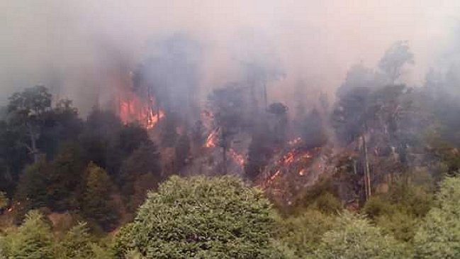 Incendio forestal alcanzó el Parque Nacional Conguillío