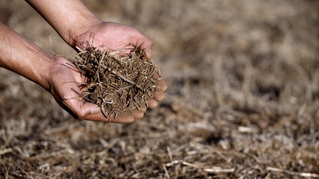 ONU advierte sobre un déficit global de agua del 40% en 15 años