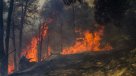 Senador RN criticó gestión del Gobierno en materia de incendios forestales
