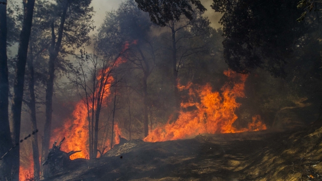 Onemi: Hay 26 incendios activos en el país