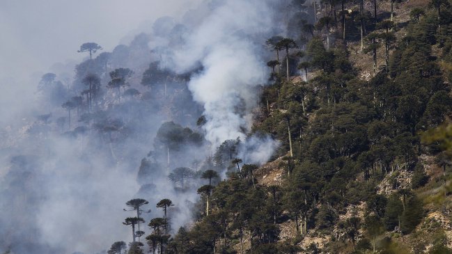 Incendio en Reserva China Muerta consume más de 5.700 hectáreas