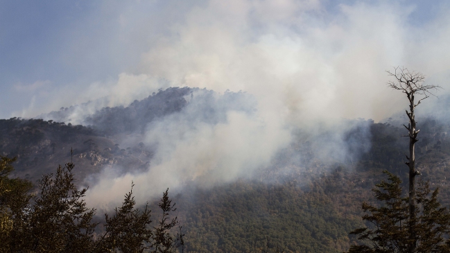 La Araucanía: Decretan zona de catástrofe para tres comunas por incendios