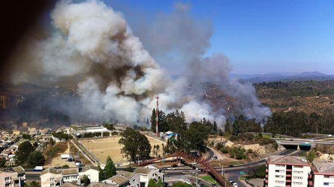 Fue controlado el incendio en el Jardín Botánico de Viña del Mar