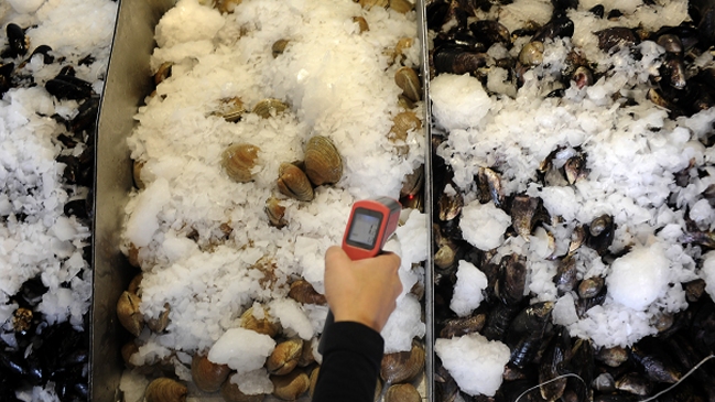 Valparaíso: Autoridades realizaron fiscalizaciones en Caleta Portales por Semana Santa