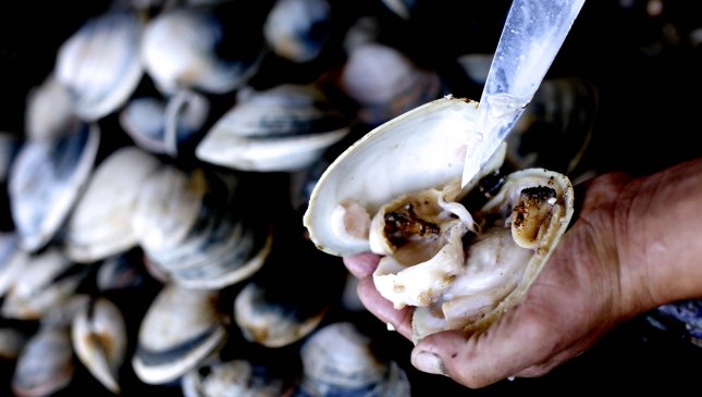 Recomendaciones para una alimentación saludable y segura en Semana Santa