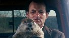 Popular película protagonizada por Bill Murray se convertirá en musical