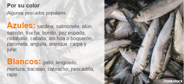 Imagen foto_00000017