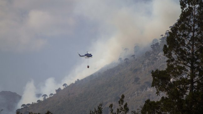 Conaf controló incendio en Reserva China Muerta
