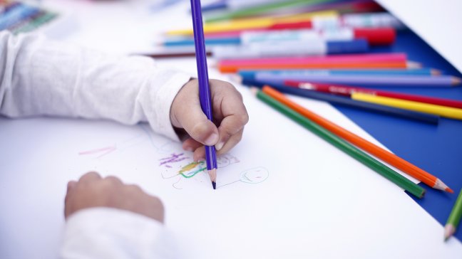 TC rechazó norma que impide aporte estatal a jardines con lucro