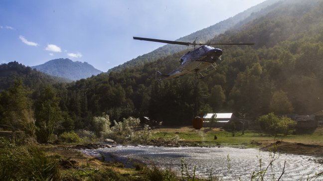Conaf: Incendio en Reserva Nacional China Muerta se reactivó