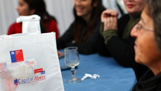 Conoce la forma de postular al Capital Abeja