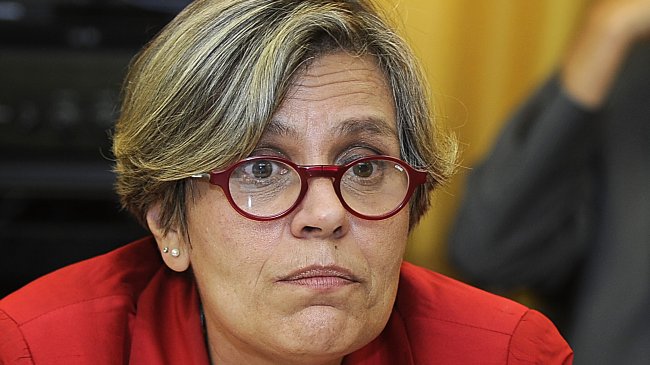 Directora del INDH explicó a diputados el polémico texto para escolares
