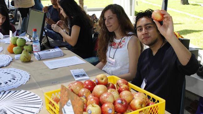 Conoce cómo elegir una buena colación para tus hijos