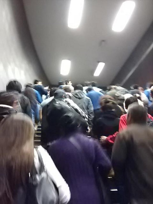 Imagen foto_00000015