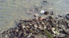 Cómo los cosméticos contaminan el mar