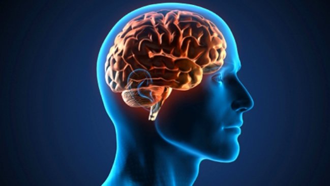 Chips en el cerebro permitirán curar enfermedades y escribir con la mente