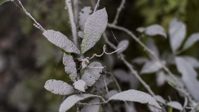 Vulcanólogo de Universidad de Oxford: Ceniza arrastrada por ríos puede generar aludes