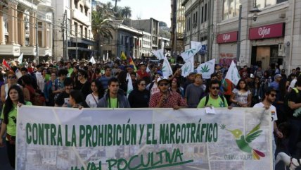   Organizaciones a favor del autocultivo de marihuana marcharon por Valparaíso 