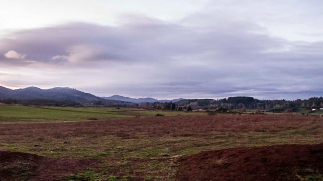 La Araucanía: Agricultores critican compra de terreno para 