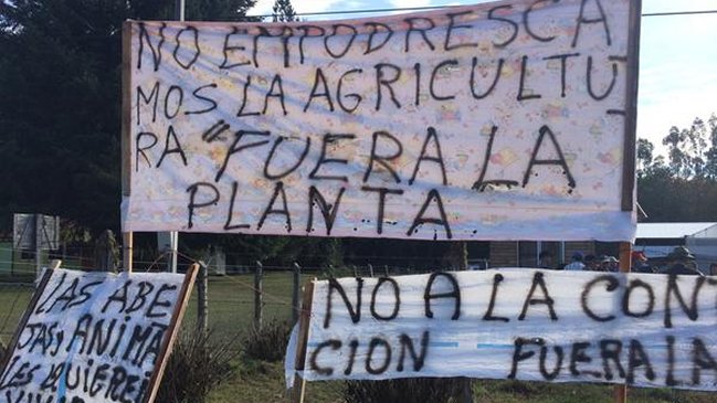Araucanía: Agricultores en alerta por planta de residuos que se instalará cerca de huertos