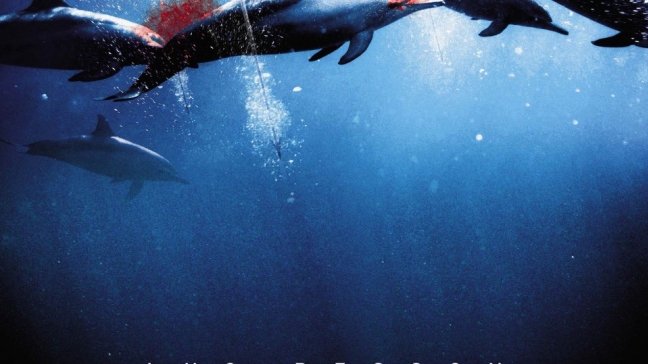 Asociación mundial de zoos y acuarios expulsa a Japón por la caza de delfines