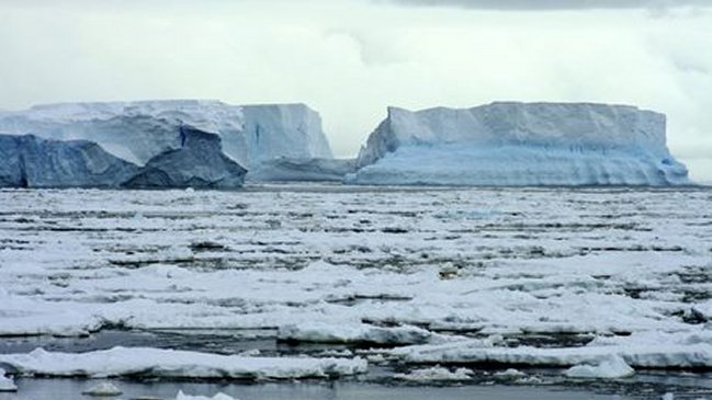 Bióloga chilena estudia bacterias antárticas para combatir enfermedades resistentes