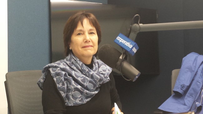 Minsal: Seis hospitales no estarán terminados antes del fin del actual mandato