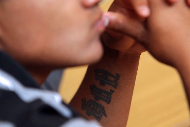 Imagen foto_00000003