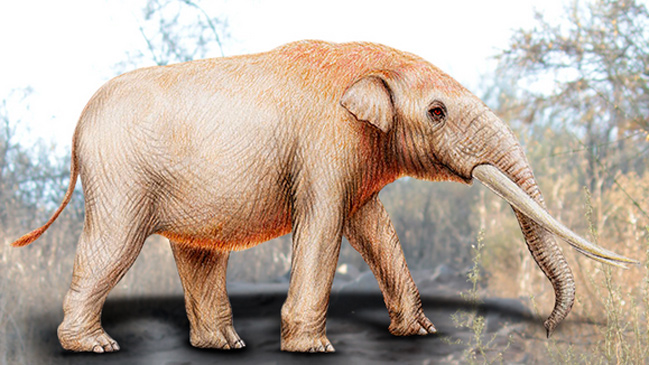 Imagen foto_00000022