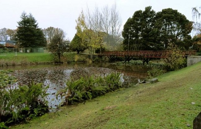 Imagen foto_00000003