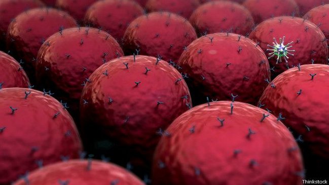 Imagen foto_00000014