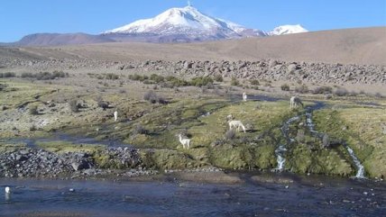  Volcán Guallatiri: Sernageomin explicó el por qué de la alerta amarilla 