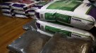 A un año de la legalización: el comercio en torno a la marihuana en Uruguay